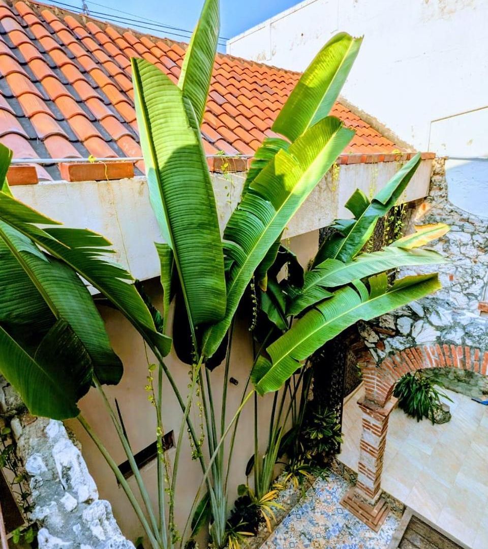 Duplex Colonial Getsemani * Cartagena